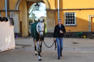 Early morning in the stables